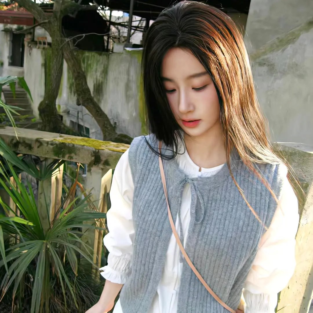 小夜莺封面
